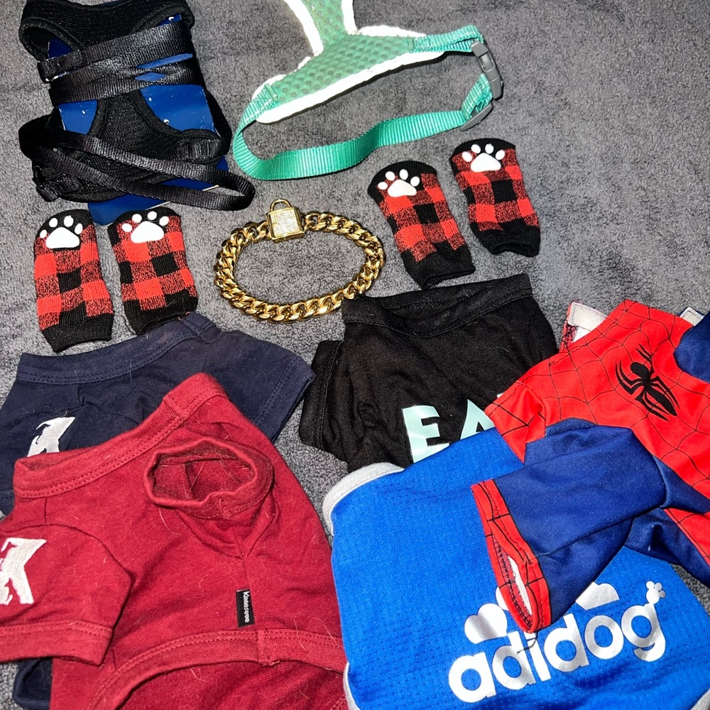 Pet clothing bundle